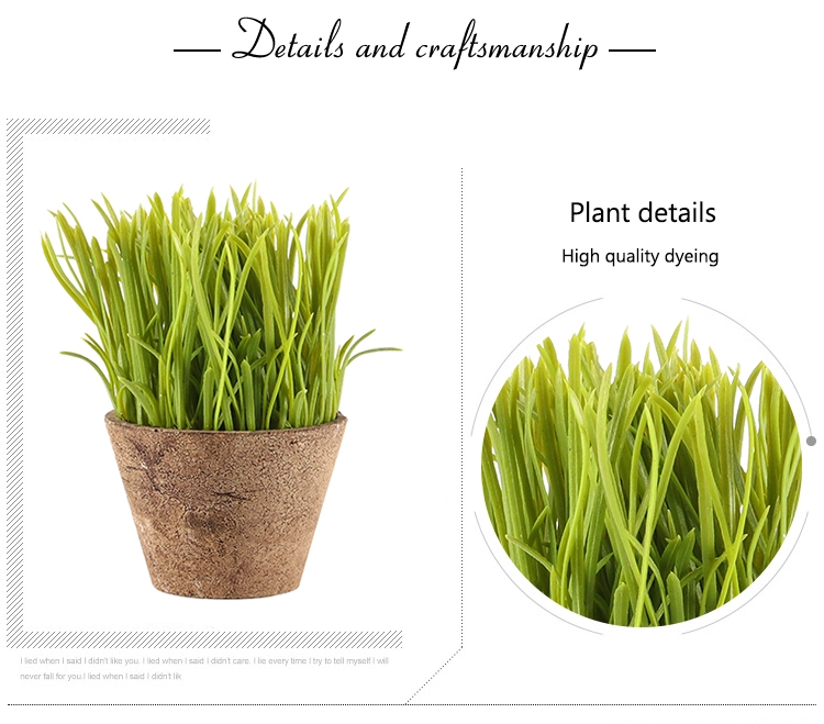 Venda a l'engròs de plantes fàbrica de test a l'engròs amb herba de pot de mini herba artificial