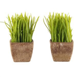 Planta d’herba mini de blat verd artificial