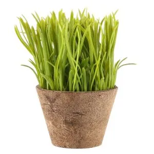 Planta en conserva artificial amb herba de pot