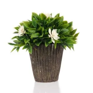 Jardins Artificials a l’aire lliure