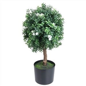 Vitalitat Petites Flors Blanques ARBRE
