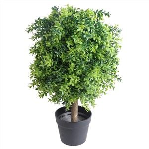 Natura i Mini Arbre Verd