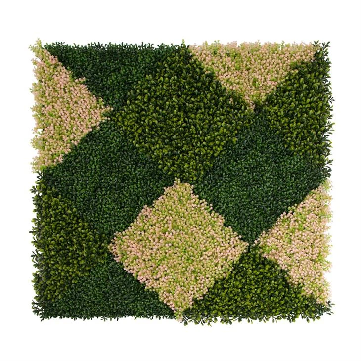 New Design System Boxwood