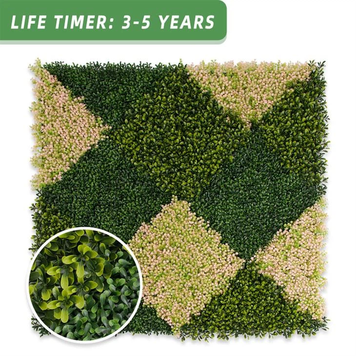 New Design System Boxwood